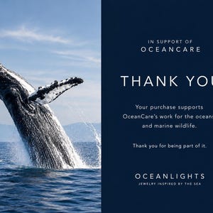 May include: A rectangular card featuring a humpback whale breaching from blue ocean water on the left. The right side is dark blue with white text: IN SUPPORT OF OCEANCARE, THANK YOU, Your purchase supports OceanCare's work, OCEANLIGHTS.