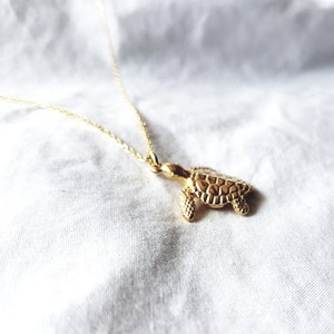 Turtle name necklace -  France