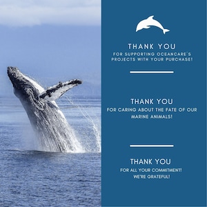 May include: A breaching humpback whale in the ocean, with water splashing around it. The image includes text that says "Thank You" for supporting projects, caring for marine animals, and commitment.