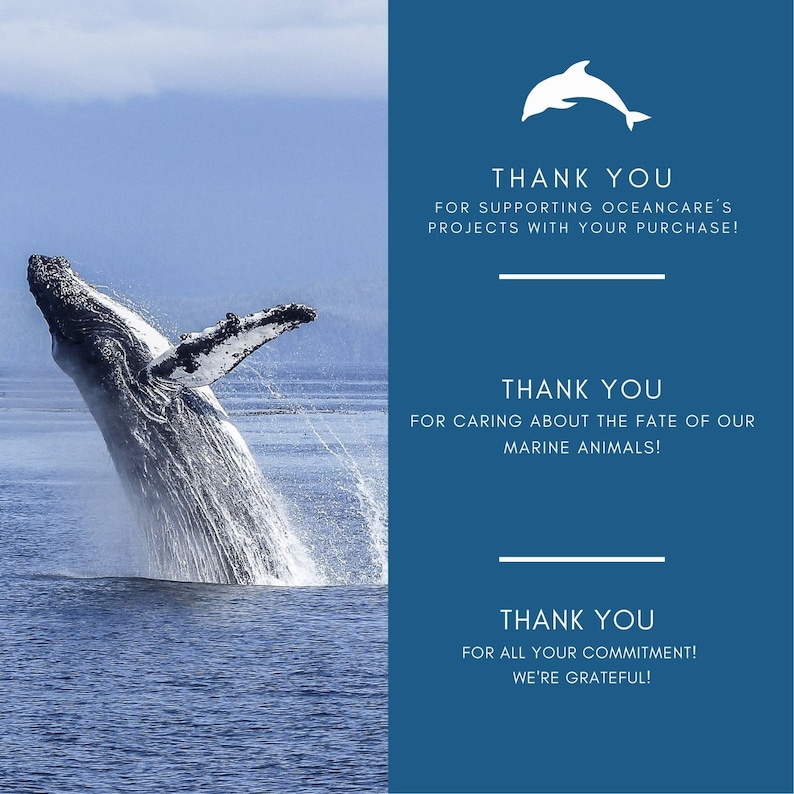 May include: A breaching humpback whale in the ocean, with water splashing around it. The image includes text that says "Thank You" for supporting projects, caring for marine animals, and commitment.