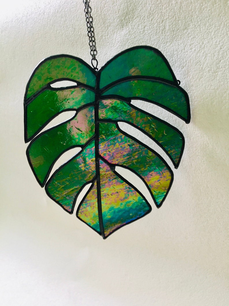 Philodendron Anderson Red Plant in 2x2x7″ Pot Kens