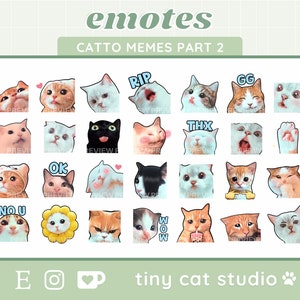 Funny Cat Faces Meme Emote Collection Twitch & Discord 