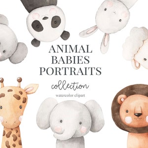 水彩画の動物、赤ちゃんの肖像画のクリップアート。森のサファリの保育園のアート、壁の装飾。キツネ、ライオン、クマ、シカ、ウサギ、アライグマ、トラの生き物