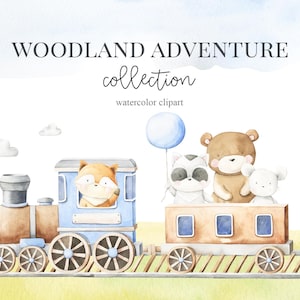 Woodland Train Animal Clipart - foresta dell'acquerello. Orso, volpe, procione, coniglio, gufo, riccio, topo, scoiattolo, ferrovia. Baby shower, arte della parete