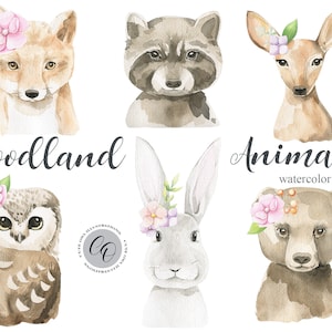 Animaux des bois Aquarelle Clipart, Clipart pour enfants, Décoration de crèche, Art pour enfants, Art de pépinière, Renard, hibou, ours, cerf, lapin, créatures de raton laveur