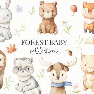 Watercolor forest baby, Woodland Nursery Clipart, Woodland Animals Watercolor Digital Clipart, Forest Animals