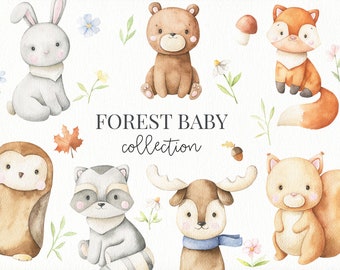 Watercolor forest baby, Woodland Nursery Clipart, Woodland Animals Watercolor Digital Clipart, Forest Animals