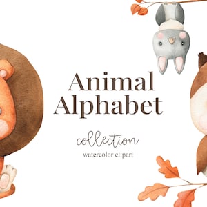 水彩動物アルファベット赤ちゃんクリップアート。ウッドランドサファリ保育園アート、壁の装飾。アルパカ、ライオン、クマ、ゾウ、アライグマ、フクロウ、生き物