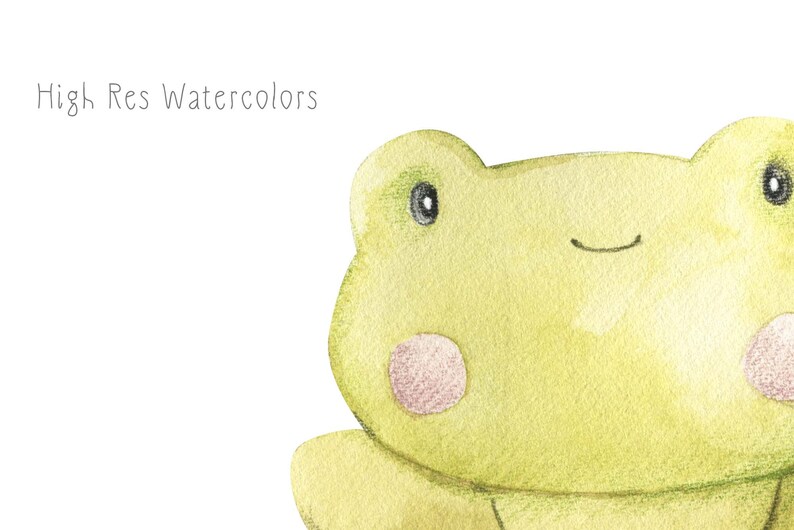 May include: A watercolour illustration of a green frog with a big smile. The frog has large, black eyes and pink cheeks.