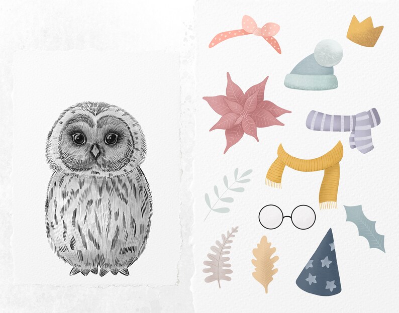 May include: A black and white illustration of an owl with various accessories. The accessories include a pink bow, a blue hat with a white pom-pom, a gold crown, a pink poinsettia, a striped scarf, a yellow scarf, round glasses, a wizard hat, and leaves.