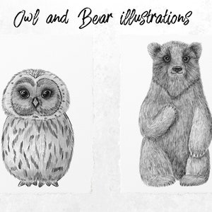 May include: Black and white illustrations of an owl and a bear. The owl has large, round eyes and detailed feather patterns. The bear is depicted in a seated position with a friendly expression. The text "Owl and Bear illustrations" is at the top.