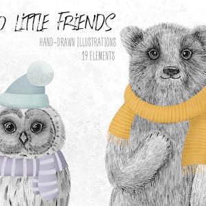 Hand Drawn clipart, owl clipart, bear clipart, clipart set, png files, woodland clip art, woodland, png, digital, nursery, poster image 1