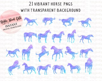 Horse PNGs Transparent Background, Horse Silhouettes PNG Files, Beautiful Horses PNG, Vibrant Colorful Horses PNG, Colorful Horses