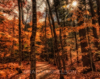 Original METAL Print - Amazing Fall Colors New England