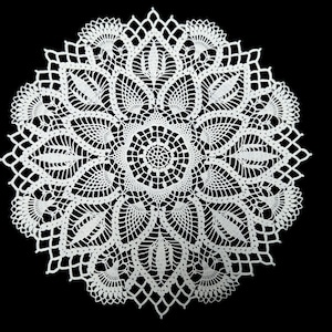 May include: White crocheted doily with a delicate floral pattern. The doily is circular and has a lace border.