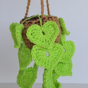 Crochet Hanging Plant