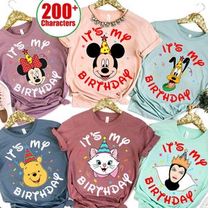 Personlized Disney All Characters It's My Birthday T-shirt, Mickey and Friends Winne The Pooh, Birthday Boy Girl Tee Shirts, Birthday Gifts image 1