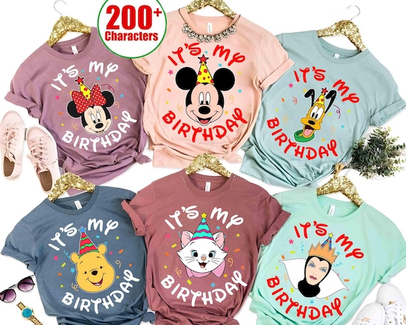 Personlized Disney All Characters It's My Birthday T-shirt, Mickey and Friends Winne The Pooh, Birthday Boy Girl Tee Shirts, Birthday Gifts
