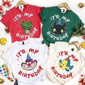 Personlized Disney All Characters It's My Birthday T-shirt, Mickey and Friends Winne The Pooh, Birthday Boy Girl Tee Shirts, Birthday Gifts image 7