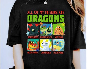 How To Train Your Dragon 3 Hidden World Dragon Friends T-Shirt, Toothless Friends T-Shirt, Magic Kingdom, Disneyland Family Matching Shirts