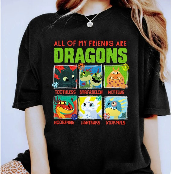 How To Train Your Dragon 3 Hidden World Best Friends T-Shirt How To Train Your Dragon 3 Hidden World Best Friends T-Shirt
