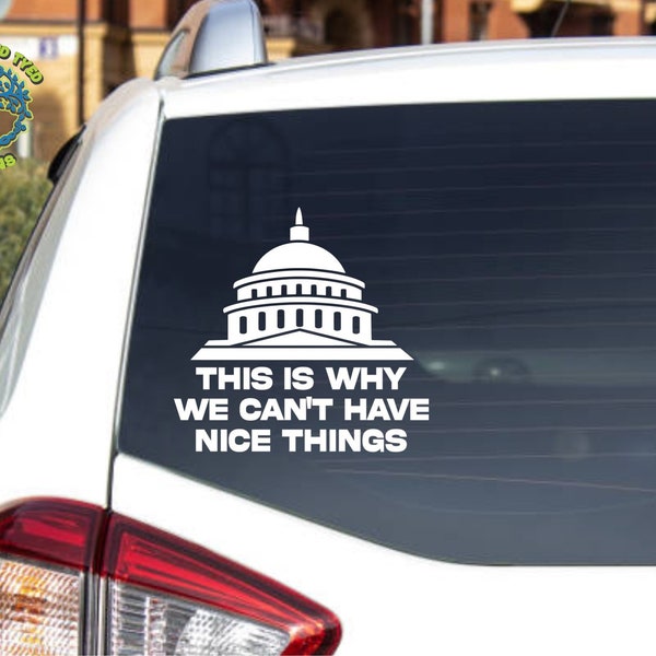 This is why we cant have nice things Government Decal Sticker