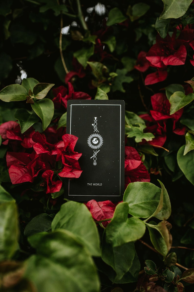 Synesthesia Tarot Deck  Minimalist Tarot Deck  78 Tarot image 5