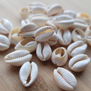 50pcs Cut Cowrie Shell Hair Beads, Loc Jewelry, Dreadlock Braids Hair Accessories, Small & Medium Shells