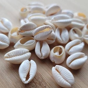 50 pezzi di perline per capelli con conchiglia di ciprea tagliata, gioielli Loc, accessori per capelli con trecce di dreadlock, conchiglie piccole e medie