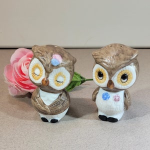 Brown ceramic owls with flowers salt and pepper shakers, collectible, vintage