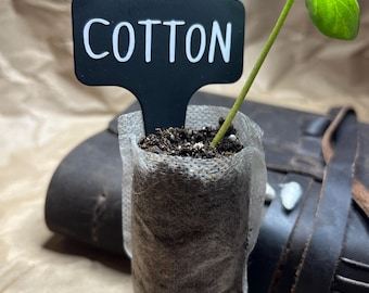 Custom Plant Markers: Waterproof Garden Labels for Herbs & Vegetables