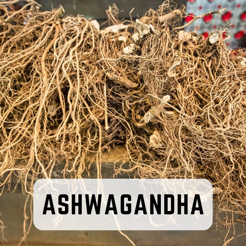 May include: A close-up of a pile of dried ashwagandha roots. The roots are a light brown color and have a rough texture. The text "ASHWAGANDHA" is printed in black on a white background.