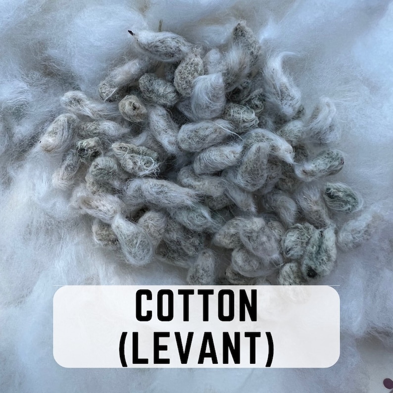 RochambeauandCo Levant Cotton Seeds - Thumbnail 4