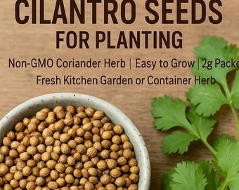 Cilantro Seeds: Non-GMO Coriander Herb, Easy Grow (2g Packet)