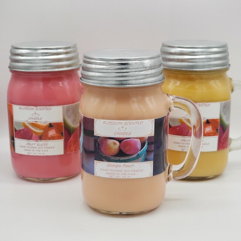 Candle 3pack Fruit Slicessoy Candles Soy Candle Etsy