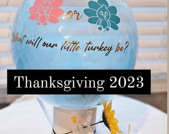 Globo para revelar el sexo del bebé en Acción de Gracias de 2026 / Listo para explotar / ¿Qué tipo de pavo será nuestro?