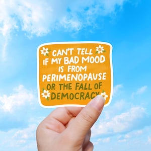May include: An orange sticker with white text that reads "CAN'T TELL IF MY BAD MOOD IS FROM PERIMENOPAUSE OR THE FALL OF DEMOCRACY." The sticker is held against a blue sky background.