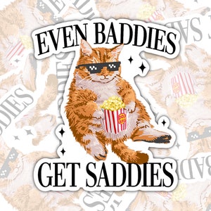 Even Baddies Get Saddies, Funny Cat Stickers, Waterproof Stickers, Water Bottle Stickers, Kindle Stickers, Laptop Stickers, Valajo Designs