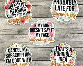 Paquete de pegatinas con frases divertidas: vinilo mate resistente al agua
