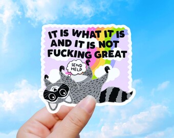 Funny Raccoon Sticker, Sarcastic Animal Vinyl Decal Gift