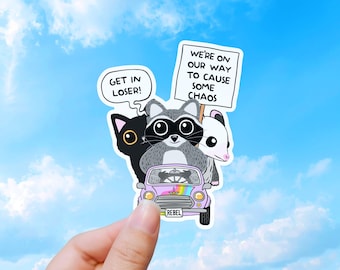 Funny Raccoon Sticker, Chaos Animal Road Trip Humor Decal