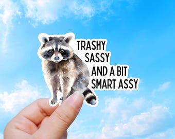 Trashy Sassy And A Bit Smart Assy, Funny Raccoon Vinyl Sticker Gif