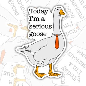 Adesivo divertente Serious Goose - Decalcomania impermeabile per laptop - Valajo Designs
