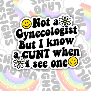I Know One When I See One, Funny Offensive Trendy  Waterproof Sticker, Water Bottle Sticker, Laptop Sticker, Kindle Sticker, Valajo Designs