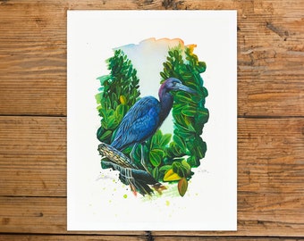 In The Wind | Little Blue Heron Fine Art Print | Edition of 36