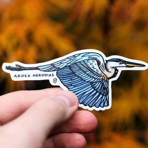 Great Blue Heron Flight Sticker - 4"