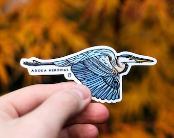 Great Blue Heron Flight Sticker - 4"