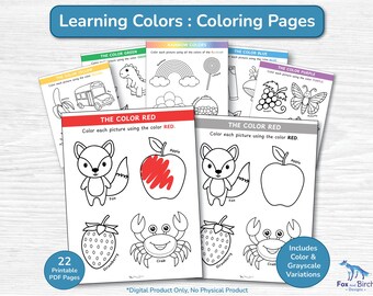 Color of the Week Worksheet Coloring Pages / Printable Educational Activity PDF / Preschool, Kindergarten, Toddler, Homeschool