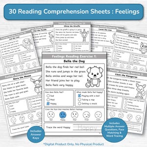 Compréhension de lecture sur les émotions (maternelle à CP) - Fiche d'exercices de 30 pages / Histoires et questions sur les émotions