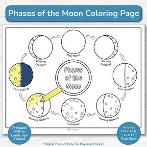 Phases of the Moon Coloring Page Printable / Lunar Cycle Educational PDF / Space Activity For Kids / Preschool, Kindergarten, Grade 1